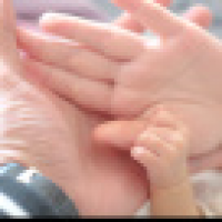 植发星加文之旭