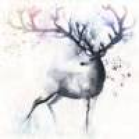 植发星叶子的归属6