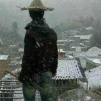 植发星伊恋左心房