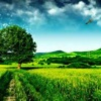 植发星么么哒么么扎3