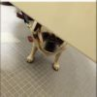 植发星你要去那里啊