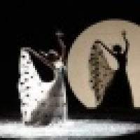 植发星夕阳专卖1897