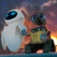 植发星加菲8日293