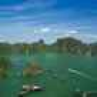 植发星qq867844229