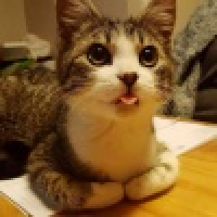 植发星刷刷儿40