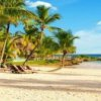 植发星ma449432454