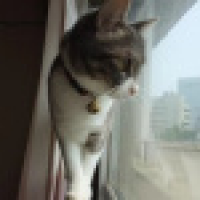 植发星回味香槟味