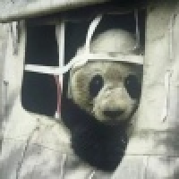 植发星jwzpsey38957