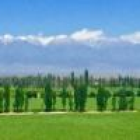 植发星博丽灵梦_345