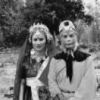 植发星夜轩璃月