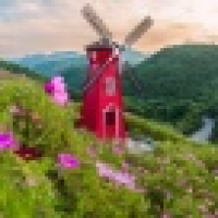 植发星凝帝系列952hNq