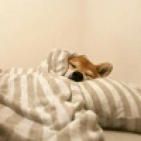 植发星吴江装修辅助工