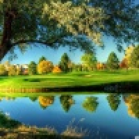 植发星scan24234359