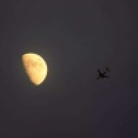 植发星夜来香150