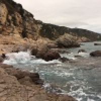 植发星君子空情90988