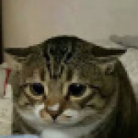 植发星大连王民张鑫智