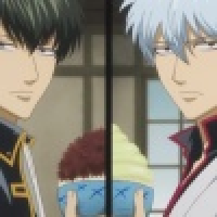 植发星splitpausef