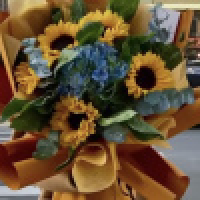 植发星今晚打老虎092