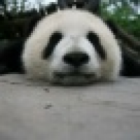 植发星大大太阳ing