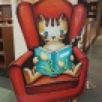 植发星加菲24日256