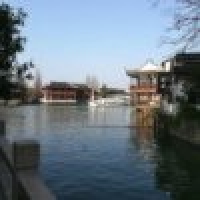 植发星fenglinlinwoai