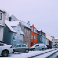 植发星东山废茄