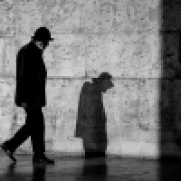 植发星会跳舞的83