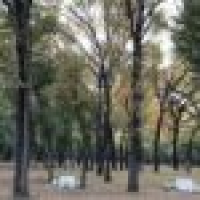 植发星半边枕547