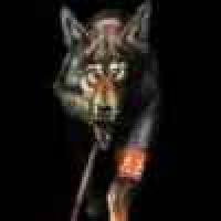 植发星向太阳奔跑赵总