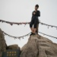 植发星你有我来爱