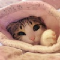 植发星冷泪轩_橿