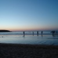 植发星大米饭_1545