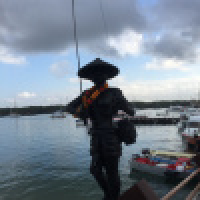 植发星summer里的青蛙