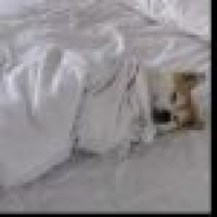 植发星ruliuyang0924