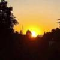 植发星冉小猪458826