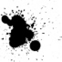 植发星和蔼的亢