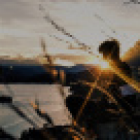 植发星善良的金色童年