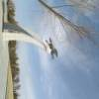 植发星丶_____流离