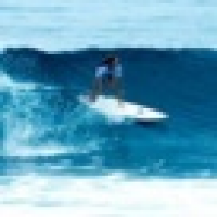 植发星东海望头