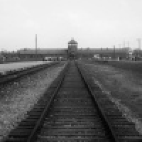 植发星在你后面丶ok