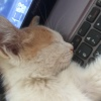 植发星大兆水电