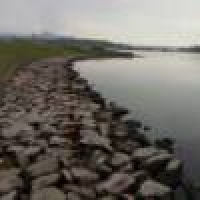 植发星只是个皮YH378