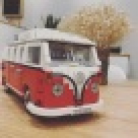 植发星友好的sg