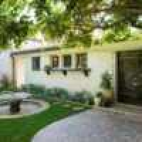 植发星专属味道541