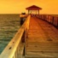 植发星大杂锅00139