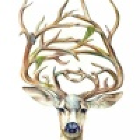 植发星吐笔tb23w