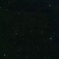 植发星丑八怪来了让开