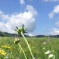 植发星hufengbazhong1