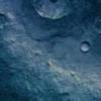 植发星他说绵绵