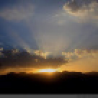 植发星加菲2日187